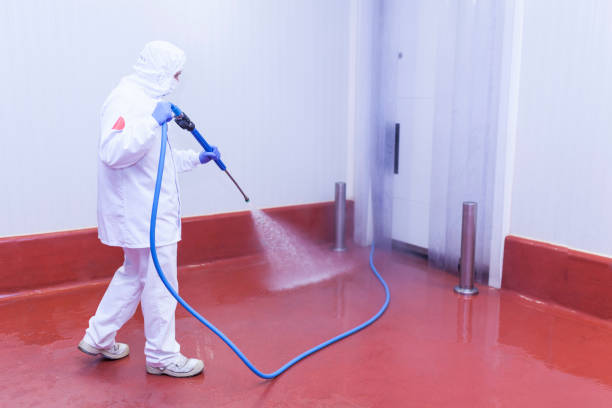 Pre-Holiday Cleaning in Tappahannock, VA